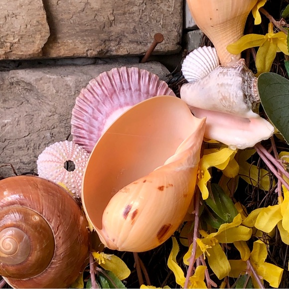 New! Seashell Starfish Forsythia Floral Willow Wreath - Picture 6 of 15